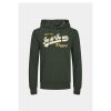 Heren Jack and Jones Truien & Vesten | Hoodie Logo 12233597 Noos