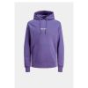 Heren Jack and Jones Truien & Vesten | Hoodie Vesterbro 12241687 Noos