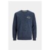 Heren Jack and Jones Truien & Vesten | Trui Wilbert 12250405