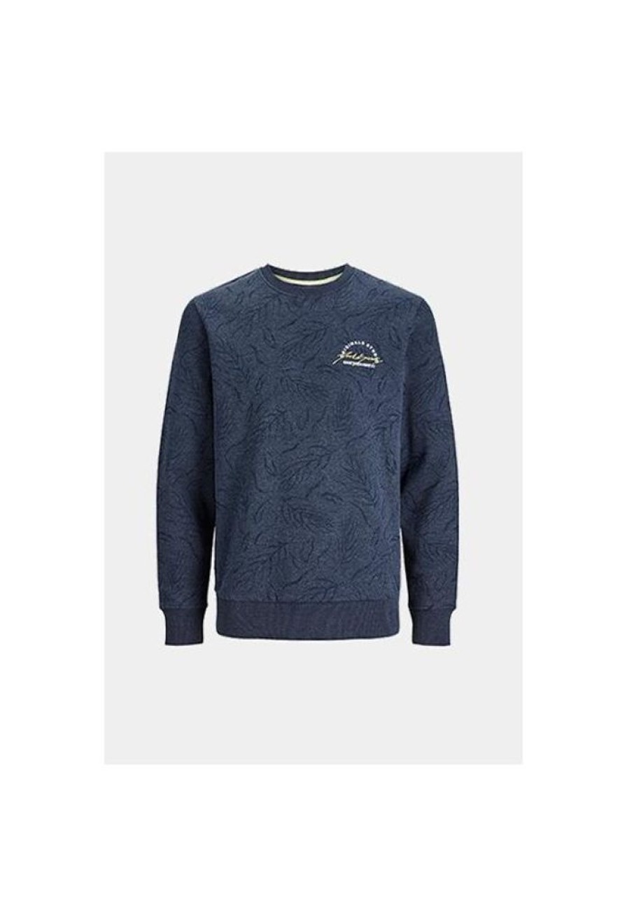 Heren Jack and Jones Truien & Vesten | Trui Wilbert 12250405