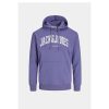 Heren Jack and Jones Truien & Vesten | Hoodie Josh 12236513 Noos