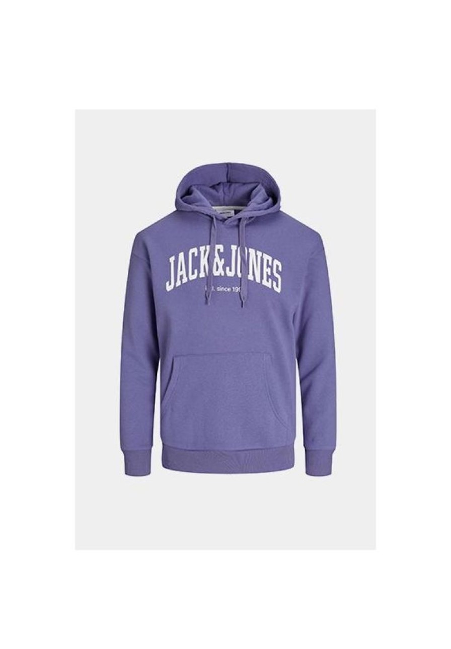 Heren Jack and Jones Truien & Vesten | Hoodie Josh 12236513 Noos