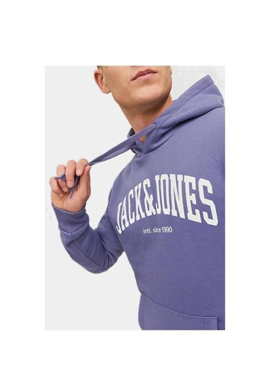 Heren Jack and Jones Truien & Vesten | Hoodie Josh 12236513 Noos