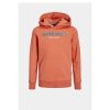 Kinderen Jack and Jones Truien & Vesten | Hoodie Lakewood 12247614