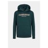 Kinderen Jack and Jones Truien & Vesten | Hoodie Lakewood 12247614