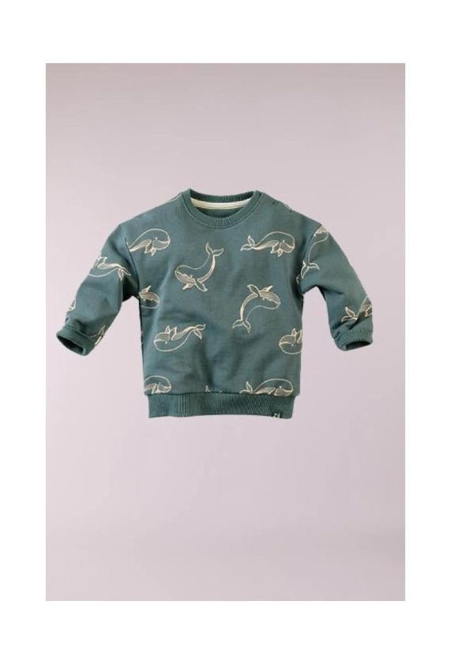 Baby Z8 Truitjes & Vestjes | Sweater Alladin Alladin