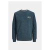 Heren Jack and Jones Truien & Vesten | Trui Wilbert 12250405