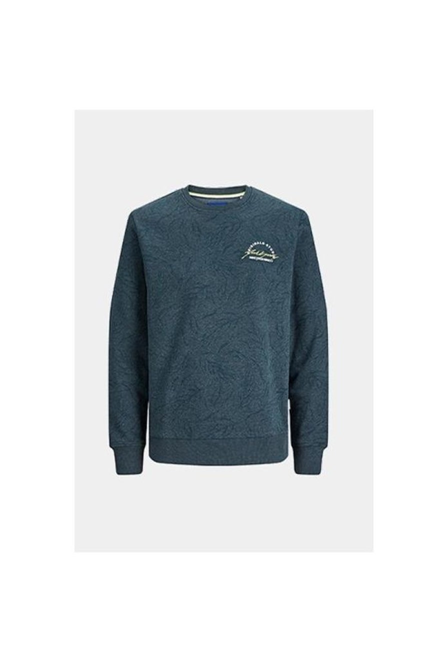 Heren Jack and Jones Truien & Vesten | Trui Wilbert 12250405