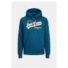 Heren Jack and Jones Truien & Vesten | Hoodie Logo 12233597 Noos