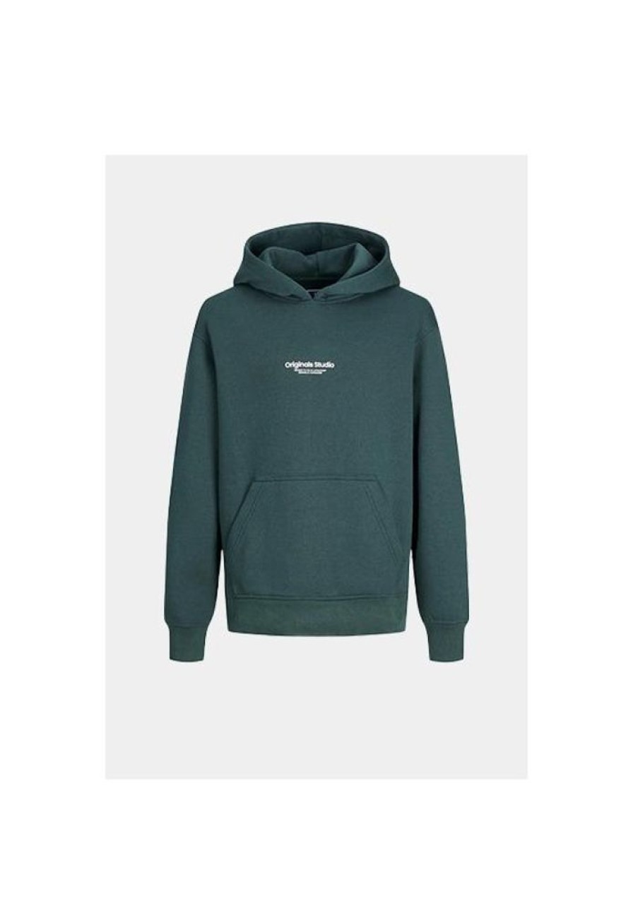 Kinderen Jack and Jones Truien & Vesten | Hoodie Vesterbro 12242469 Noos