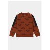 Kinderen Dirkje Truien & Vesten | Sweater S48738-35 Kids