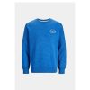 Heren Jack and Jones Truien & Vesten | Trui Wilbert 12250405